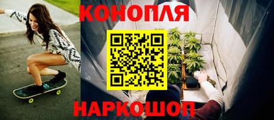 стаф Боровичи