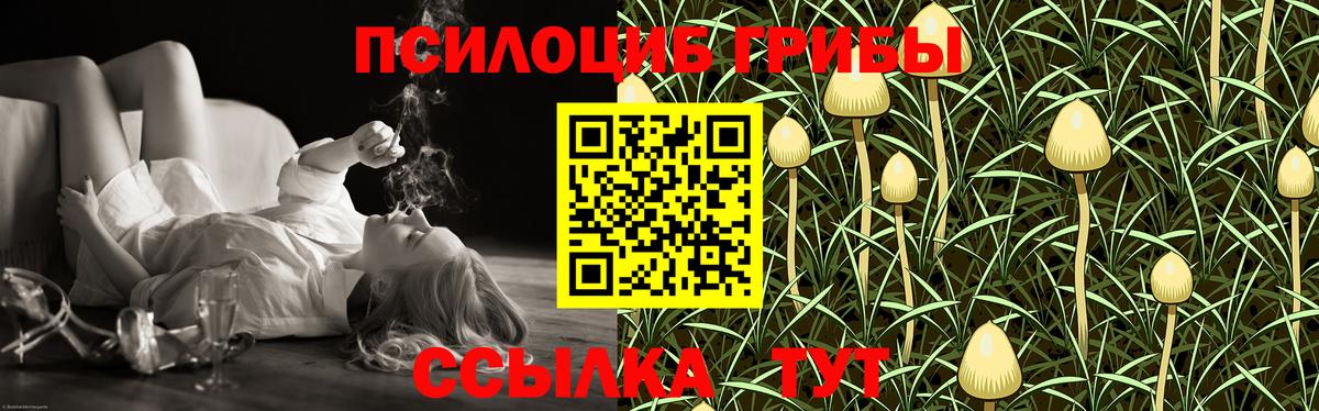 Псилоцибиновые грибы Magic Shrooms  Вход с VPN  Выборг 
